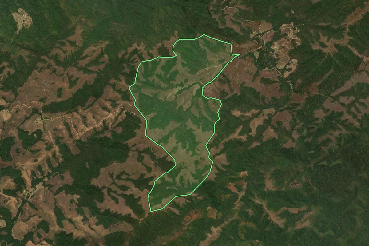 Imagem de satélite do imóvel rural em São José do Barreiro (SP), com o contorno declarado no CAR desenhado por cima.