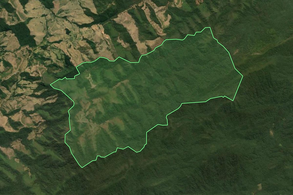 Imagem de satélite do imóvel rural em São José do Barreiro (SP), com o contorno declarado no CAR desenhado por cima.