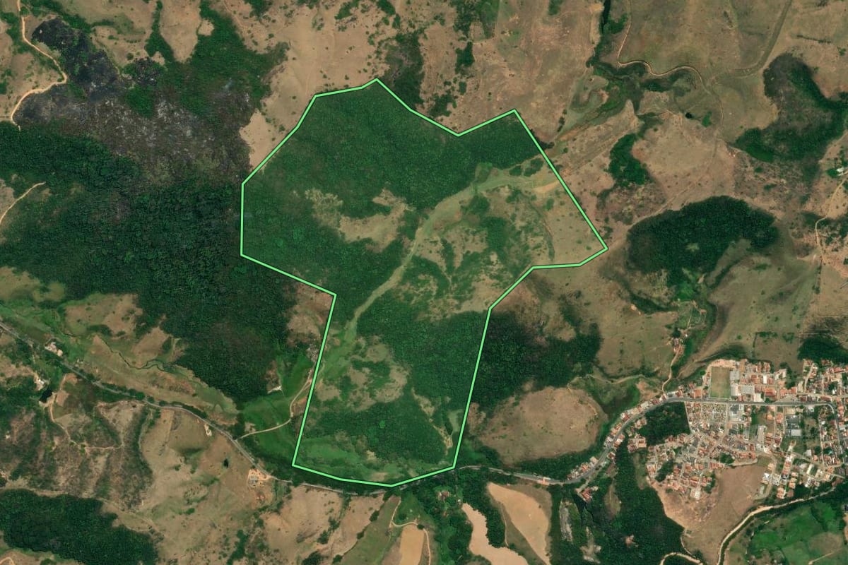 Imagem de satélite do imóvel rural em São José do Barreiro (SP), com o contorno declarado no CAR desenhado por cima.