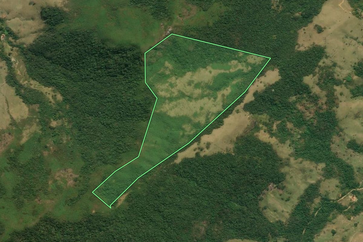 Imagem de satélite do imóvel rural em São José do Barreiro (SP), com o contorno declarado no CAR desenhado por cima.