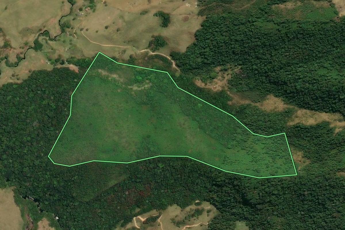 Imagem de satélite do imóvel rural em São José do Barreiro (SP), com o contorno declarado no CAR desenhado por cima.