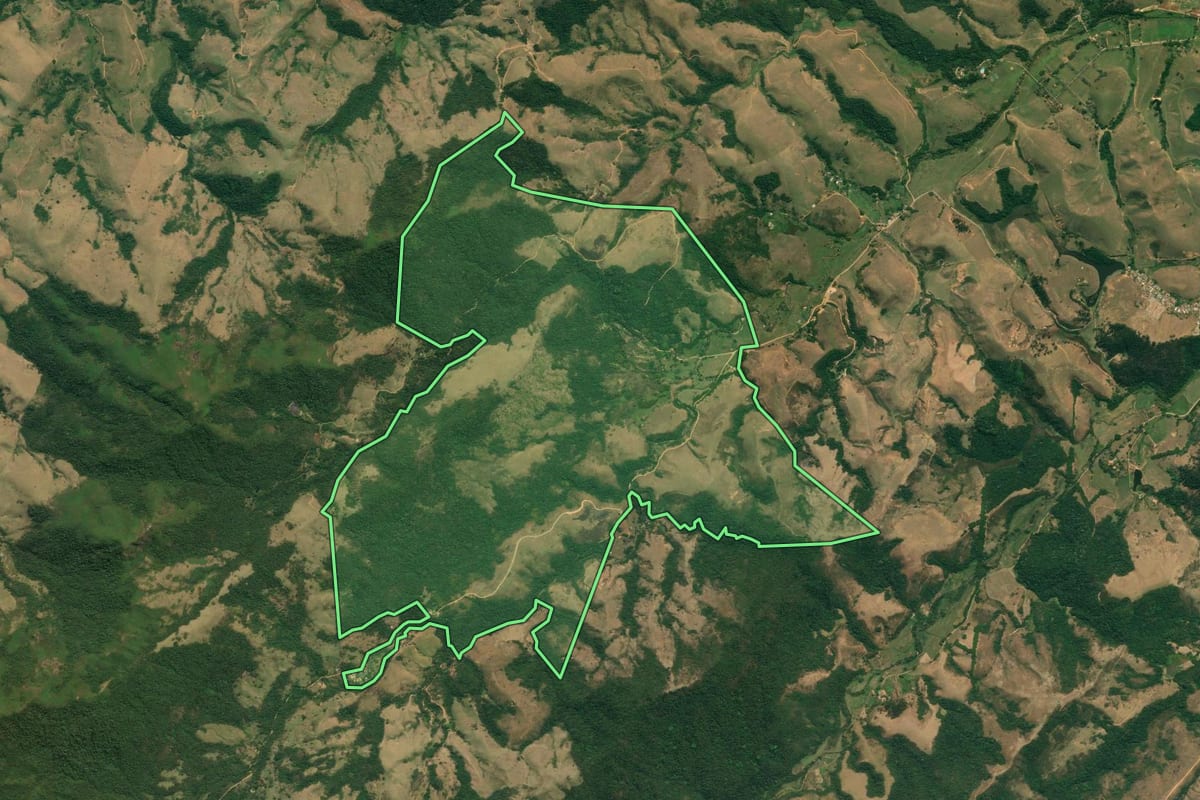 Imagem de satélite do imóvel rural em São José do Barreiro (SP), com o contorno declarado no CAR desenhado por cima.