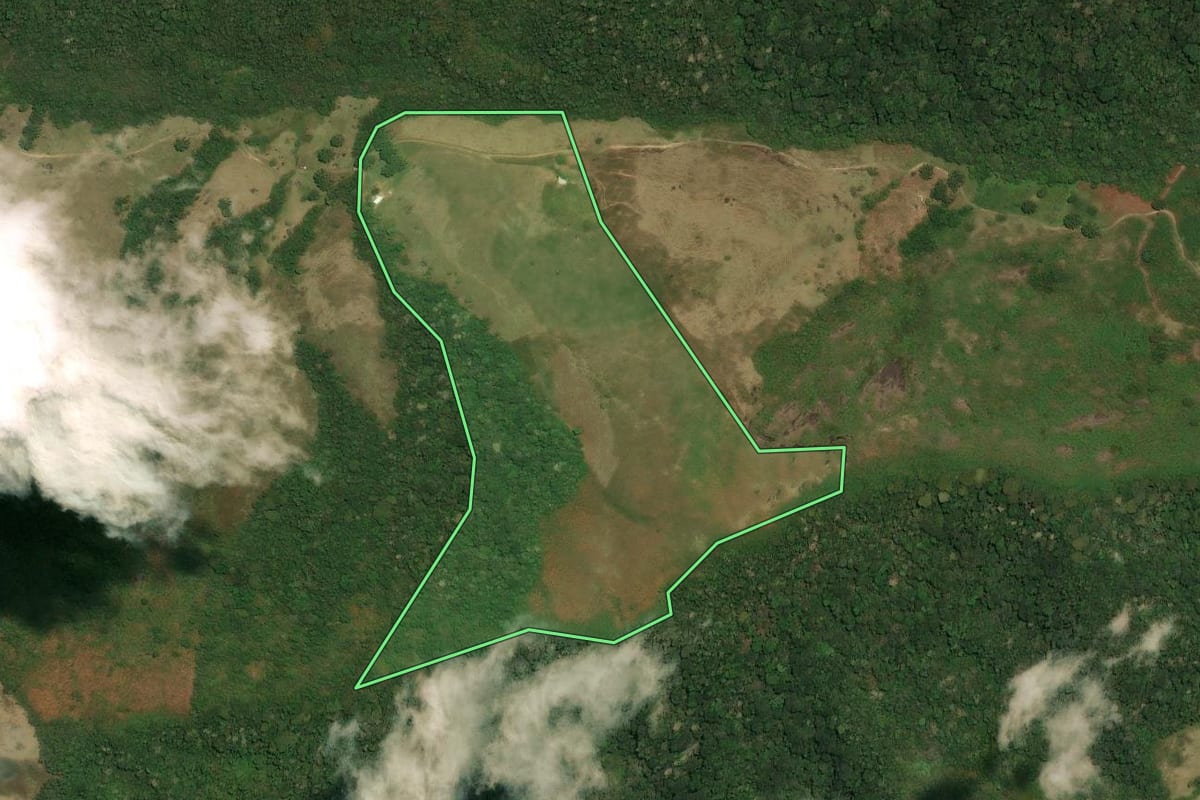 Imagem de satélite do imóvel rural em São José do Barreiro (SP), com o contorno declarado no CAR desenhado por cima.