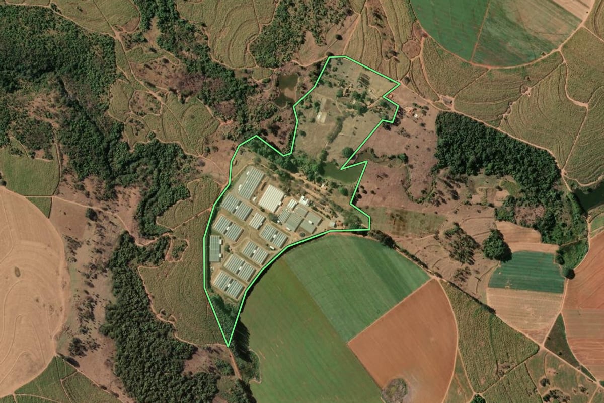 Imagem de satélite do imóvel rural em São José do Rio Pardo (SP), com o contorno declarado no CAR desenhado por cima.