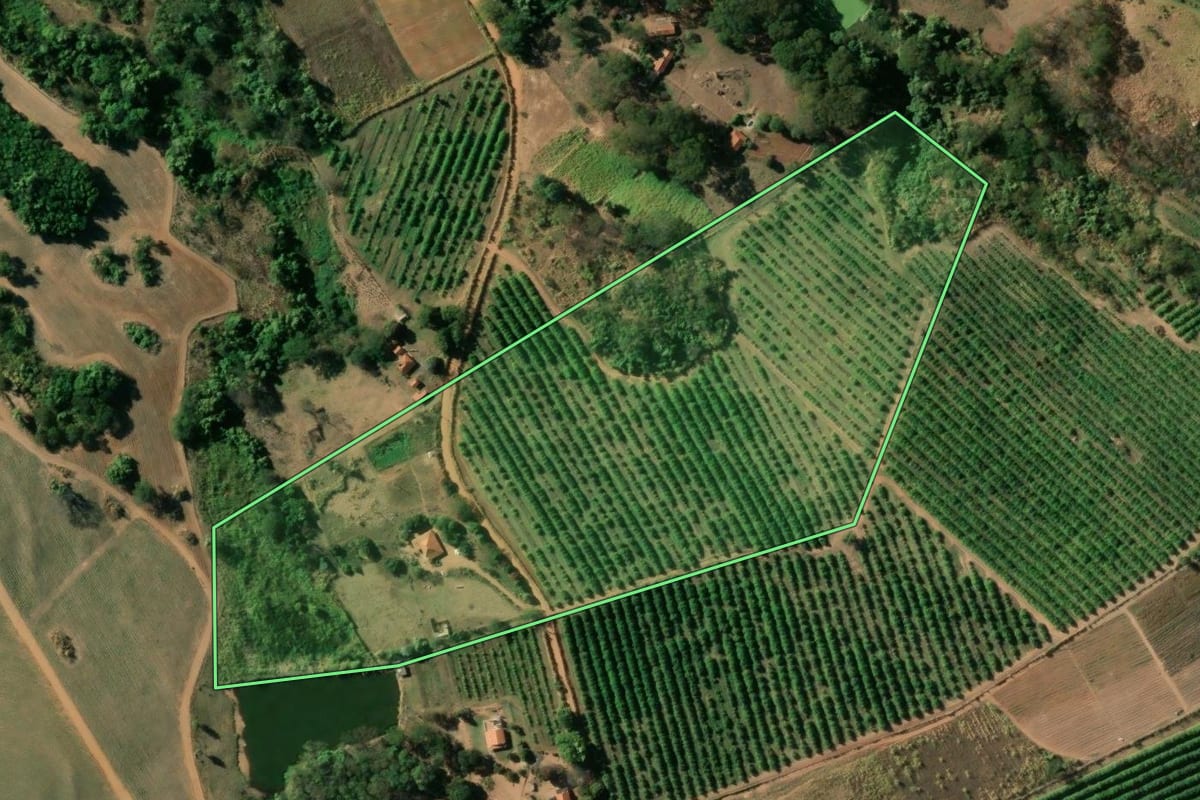 Imagem de satélite do imóvel rural em São José do Rio Pardo (SP), com o contorno declarado no CAR desenhado por cima.