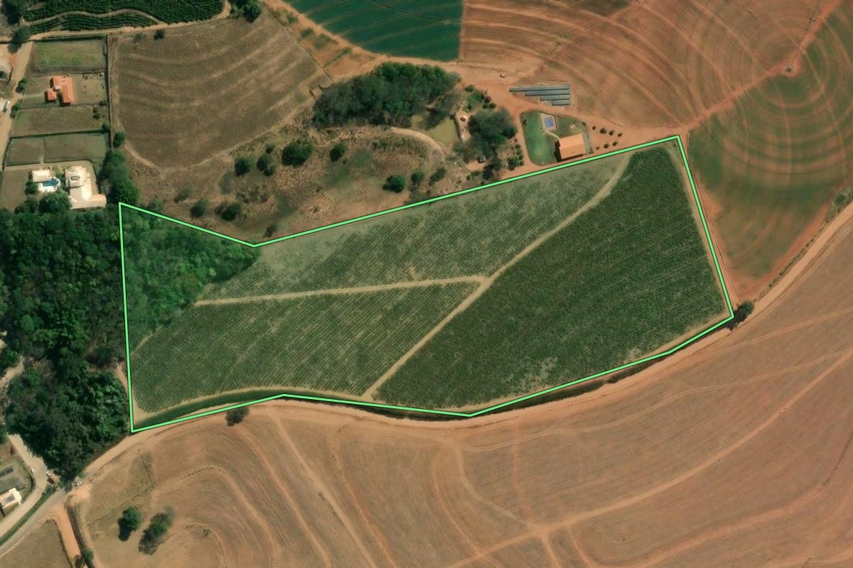 Imagem de satélite do imóvel rural em São José do Rio Pardo (SP), com o contorno declarado no CAR desenhado por cima.