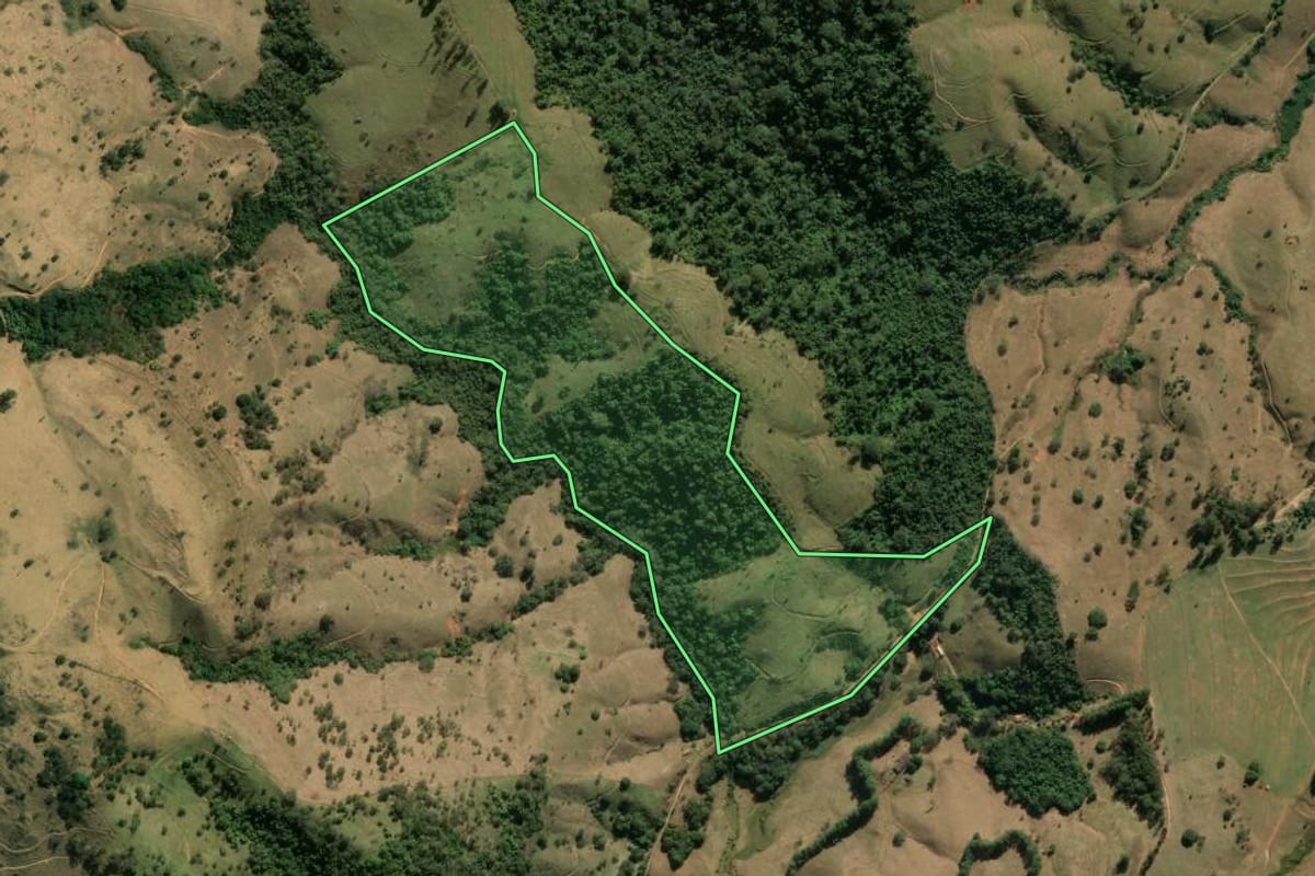 Imagem de satélite do imóvel rural em São José do Rio Pardo (SP), com o contorno declarado no CAR desenhado por cima.