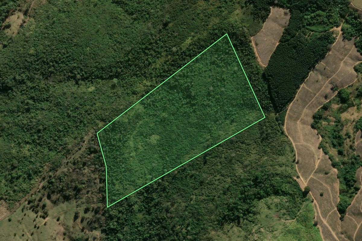 Imagem de satélite do imóvel rural em São José do Rio Pardo (SP), com o contorno declarado no CAR desenhado por cima.