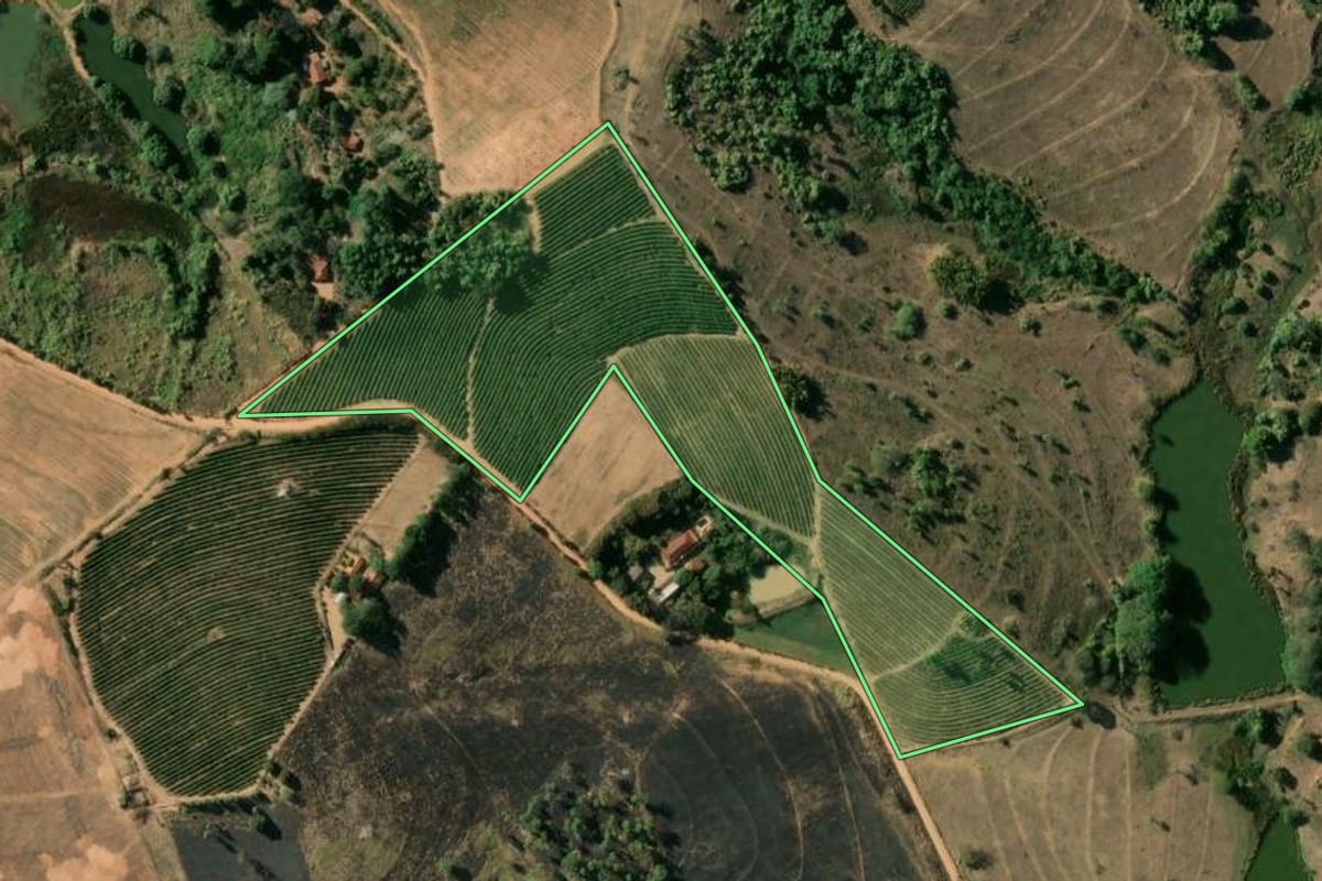 Imagem de satélite do imóvel rural em São José do Rio Pardo (SP), com o contorno declarado no CAR desenhado por cima.