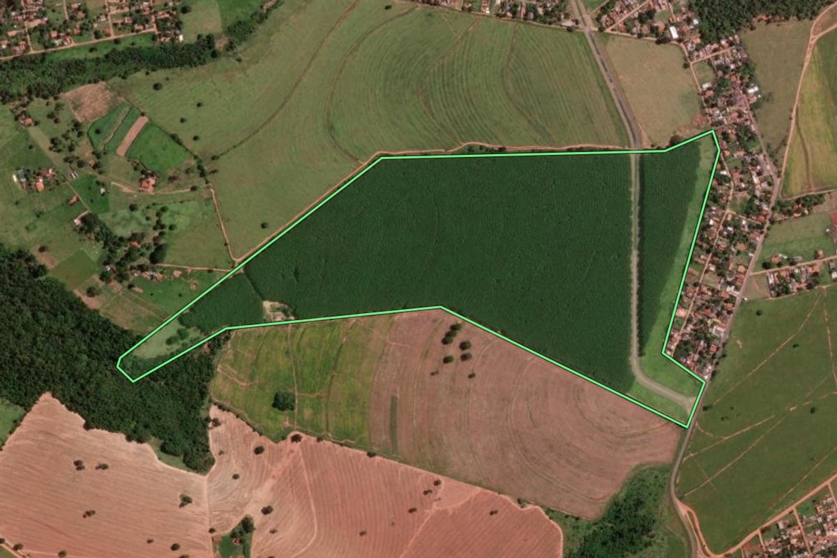Imagem de satélite do imóvel rural em São José do Rio Preto (SP), com o contorno declarado no CAR desenhado por cima.