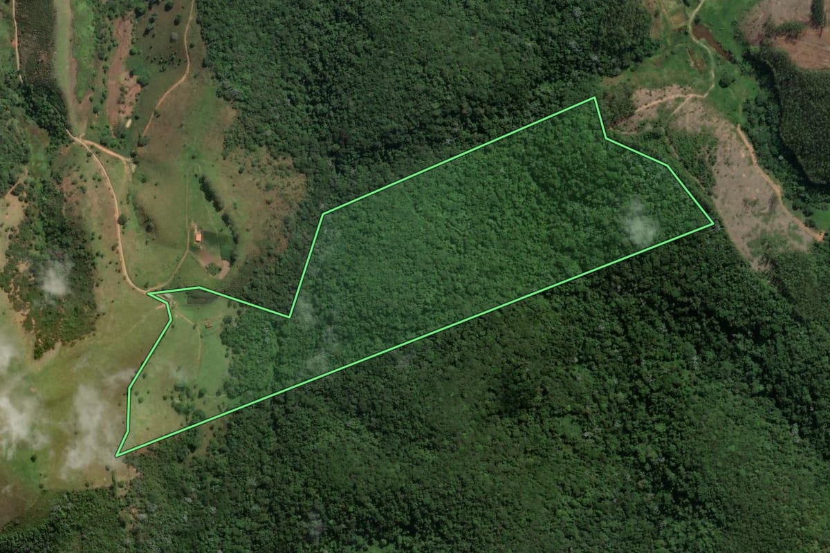 Imagem de satélite do imóvel rural em São José dos Campos (SP), com o contorno declarado no CAR desenhado por cima.