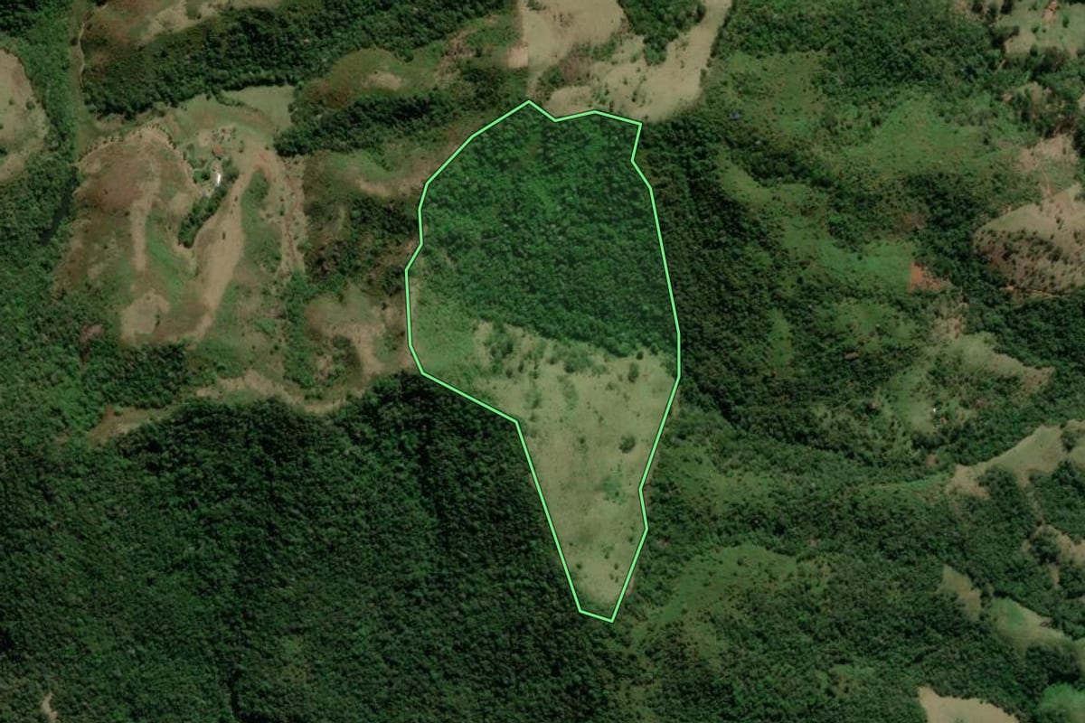 Imagem de satélite do imóvel rural em São José dos Campos (SP), com o contorno declarado no CAR desenhado por cima.