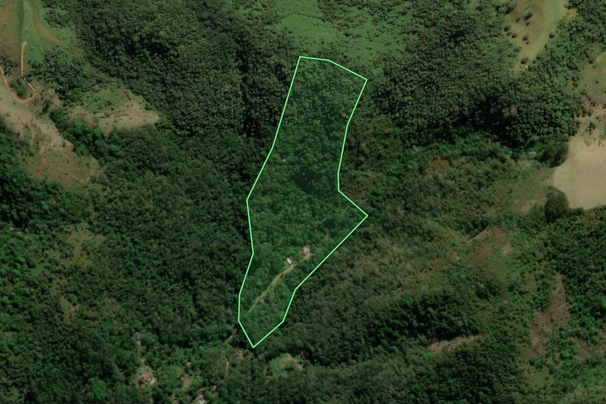 Imagem de satélite do imóvel rural em São José dos Campos (SP), com o contorno declarado no CAR desenhado por cima.