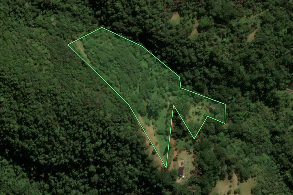Imagem de satélite do imóvel rural em São José dos Campos (SP), com o contorno declarado no CAR desenhado por cima.