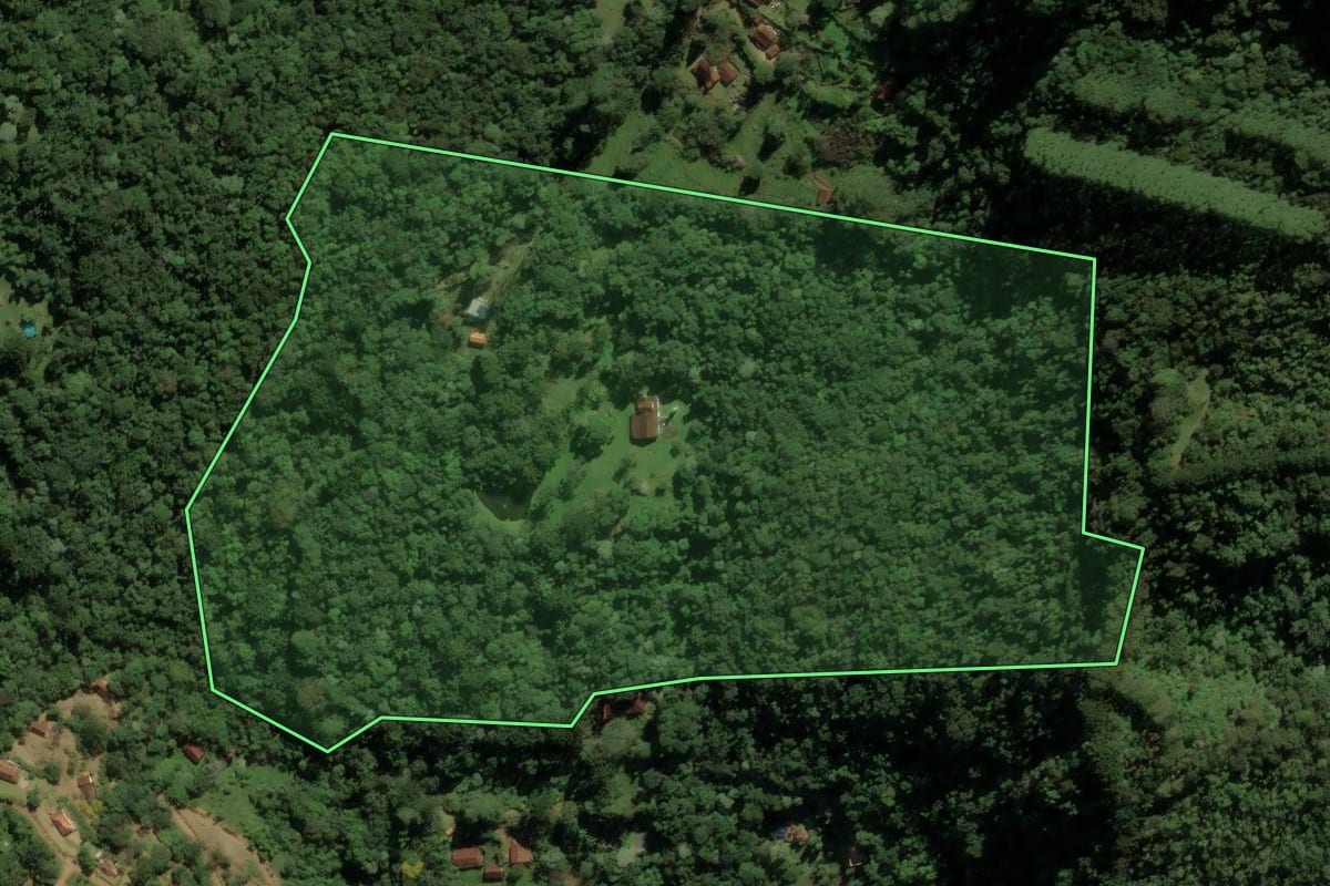 Imagem de satélite do imóvel rural em São José dos Campos (SP), com o contorno declarado no CAR desenhado por cima.
