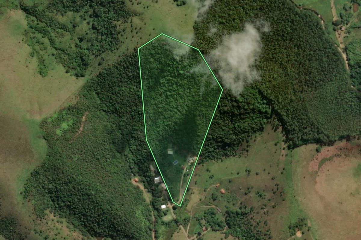 Imagem de satélite do imóvel rural em São José dos Campos (SP), com o contorno declarado no CAR desenhado por cima.