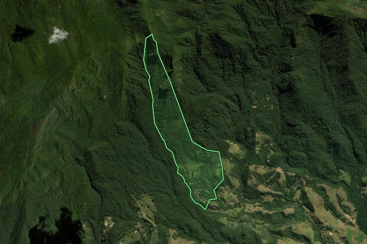 Imagem de satélite do imóvel rural em São José dos Campos (SP), com o contorno declarado no CAR desenhado por cima.