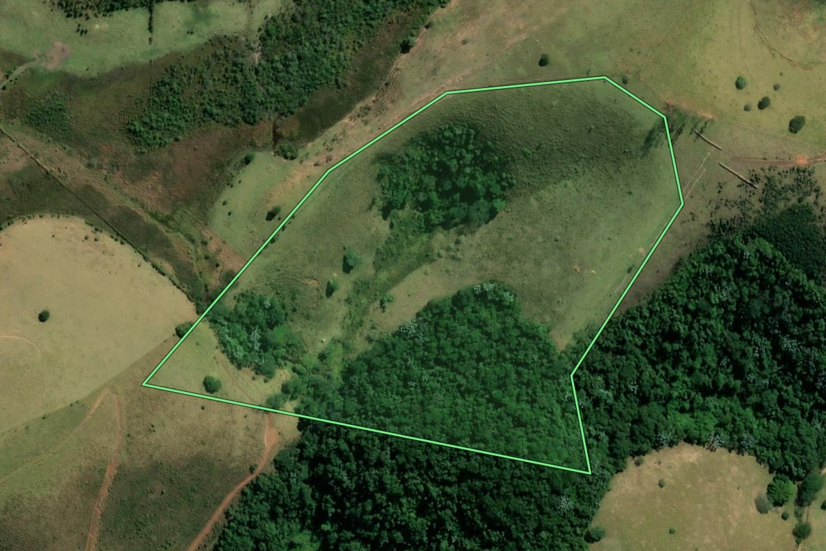 Imagem de satélite do imóvel rural em São José dos Campos (SP), com o contorno declarado no CAR desenhado por cima.