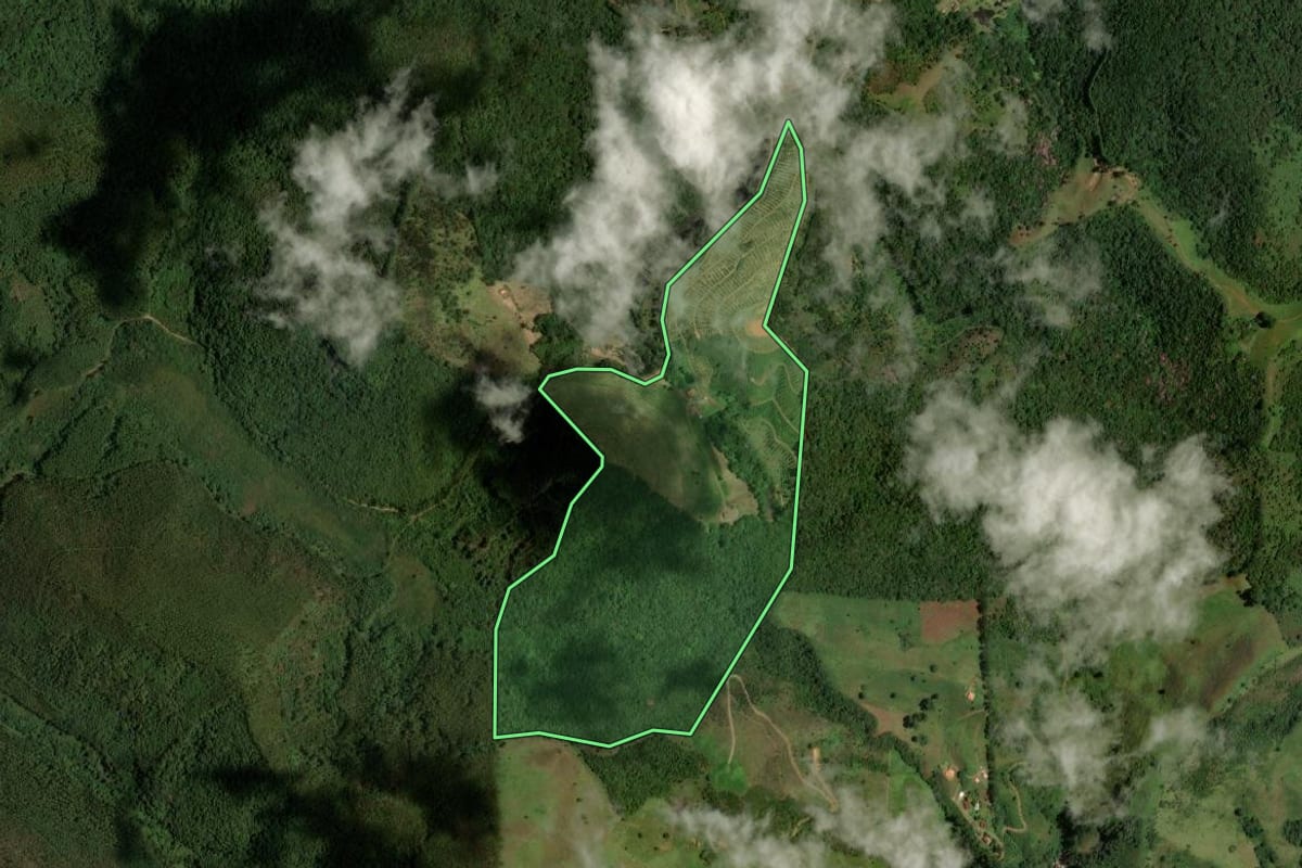 Imagem de satélite do imóvel rural em São José dos Campos (SP), com o contorno declarado no CAR desenhado por cima.