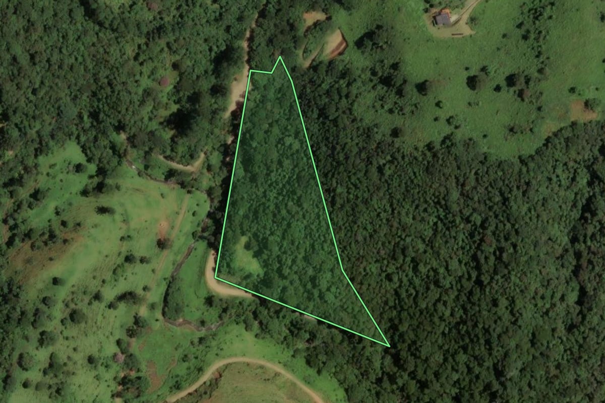 Imagem de satélite do imóvel rural em São José dos Campos (SP), com o contorno declarado no CAR desenhado por cima.