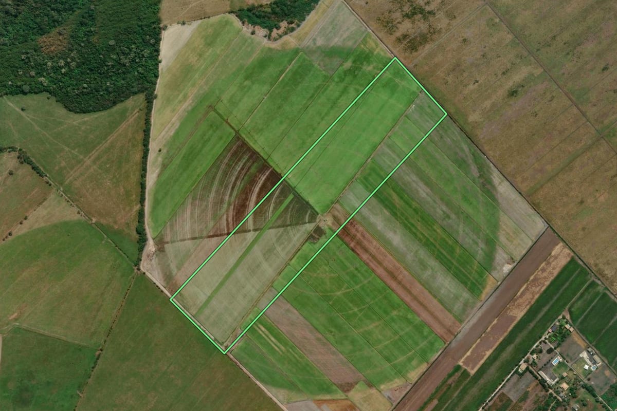 Imagem de satélite do imóvel rural em São José dos Campos (SP), com o contorno declarado no CAR desenhado por cima.