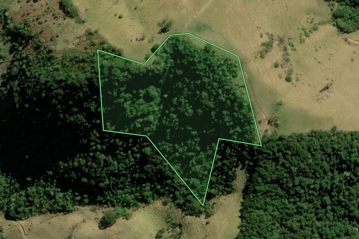 Imagem de satélite do imóvel rural em São José dos Campos (SP), com o contorno declarado no CAR desenhado por cima.