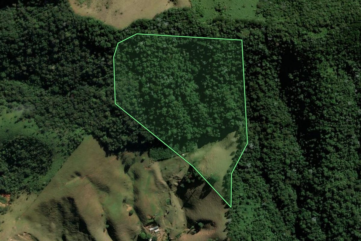Imagem de satélite do imóvel rural em São José dos Campos (SP), com o contorno declarado no CAR desenhado por cima.