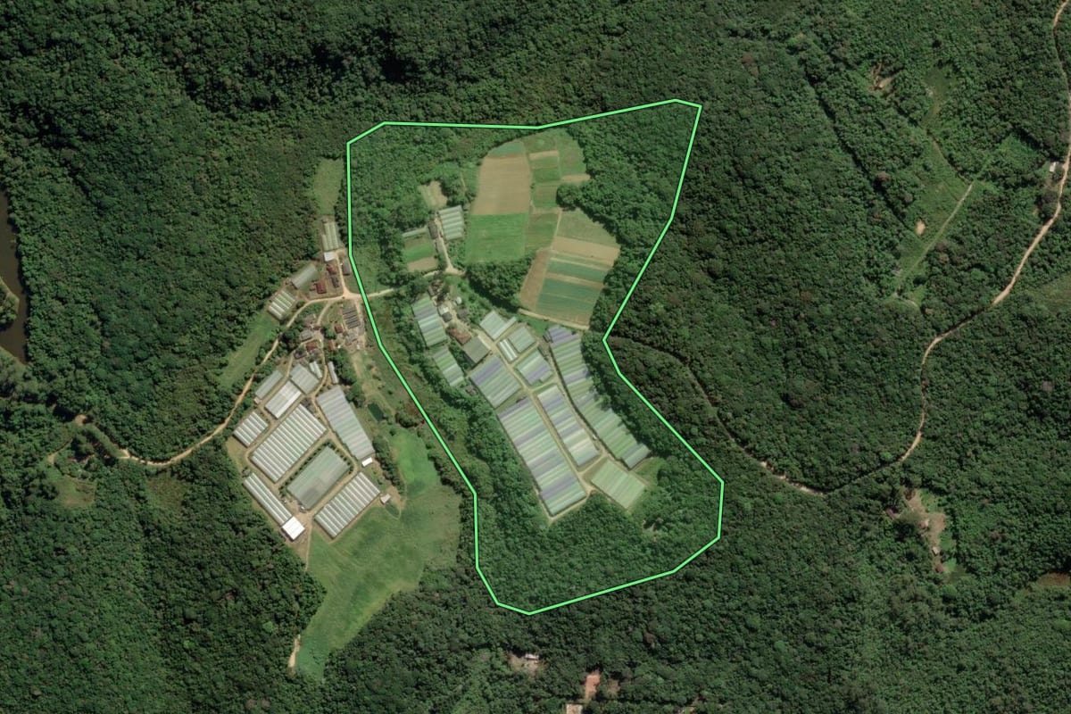Imagem de satélite do imóvel rural em São Lourenço da Serra (SP), com o contorno declarado no CAR desenhado por cima.