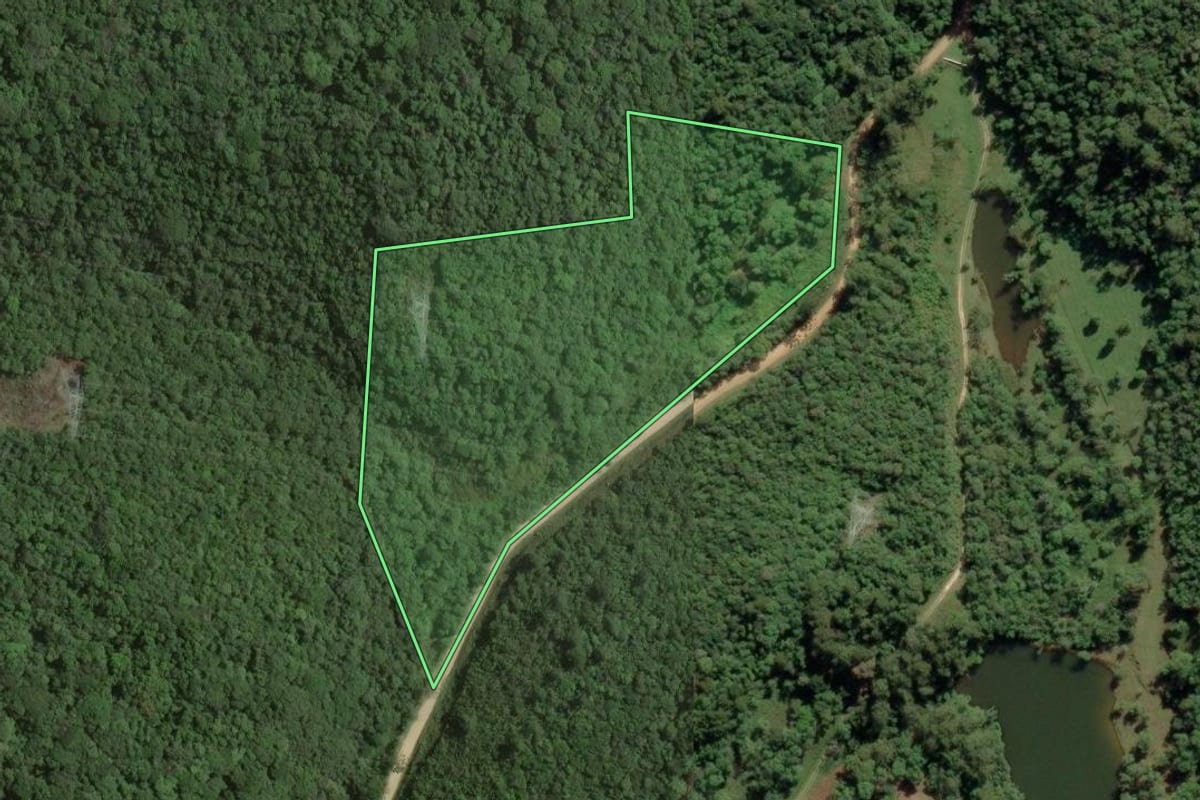 Imagem de satélite do imóvel rural em São Lourenço da Serra (SP), com o contorno declarado no CAR desenhado por cima.