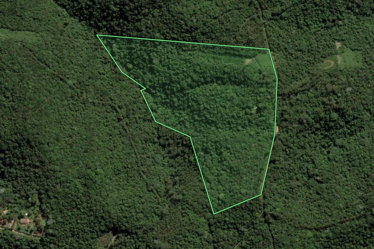 Imagem de satélite do imóvel rural em São Lourenço da Serra (SP), com o contorno declarado no CAR desenhado por cima.