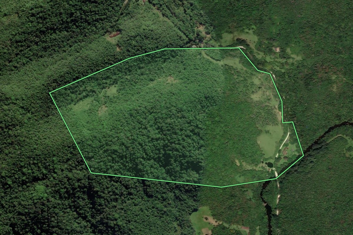 Imagem de satélite do imóvel rural em São Luiz do Paraitinga (SP), com o contorno declarado no CAR desenhado por cima.