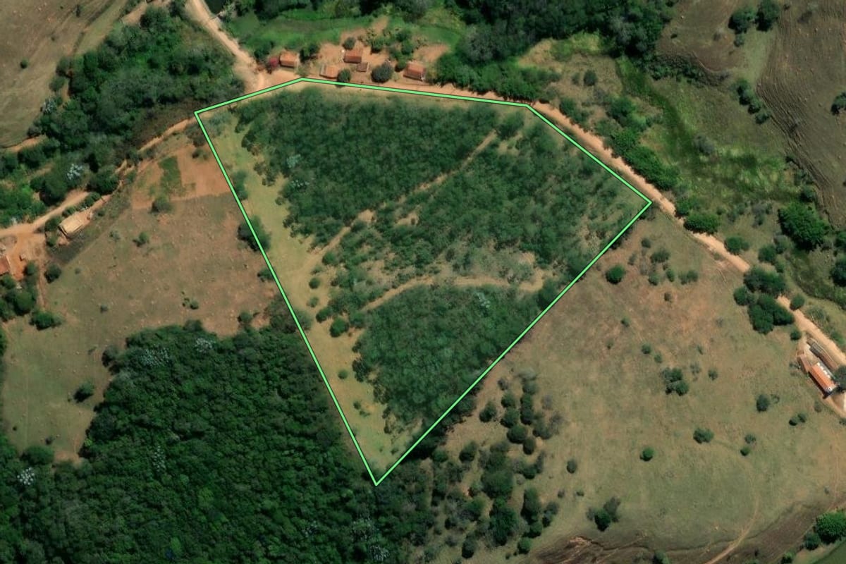 Imagem de satélite do imóvel rural em São Luiz do Paraitinga (SP), com o contorno declarado no CAR desenhado por cima.