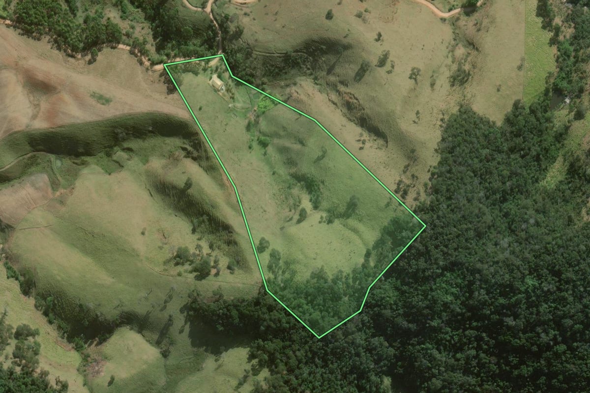 Imagem de satélite do imóvel rural em São Luiz do Paraitinga (SP), com o contorno declarado no CAR desenhado por cima.
