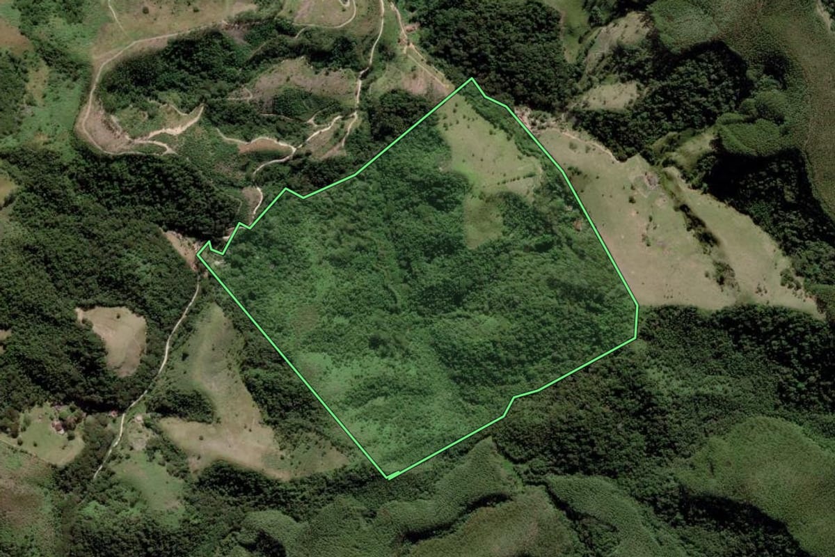 Imagem de satélite do imóvel rural em São Luiz do Paraitinga (SP), com o contorno declarado no CAR desenhado por cima.