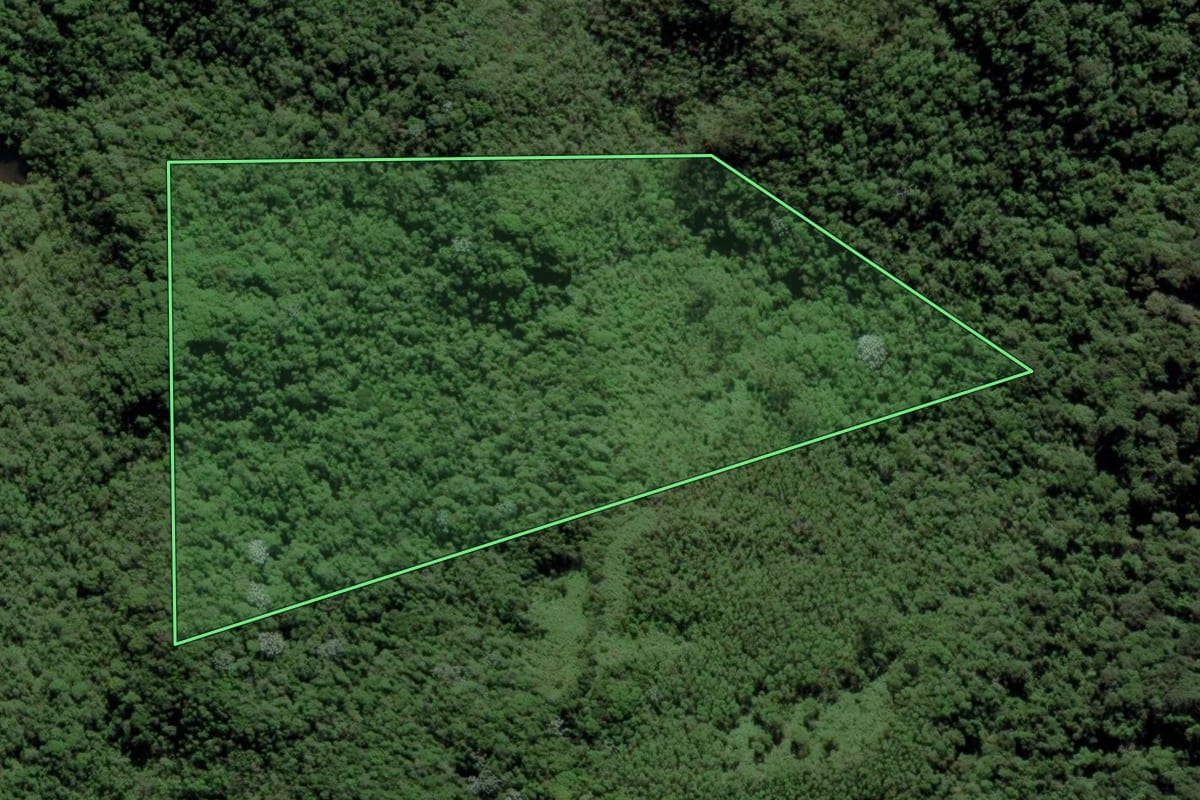 Imagem de satélite do imóvel rural em São Luiz do Paraitinga (SP), com o contorno declarado no CAR desenhado por cima.