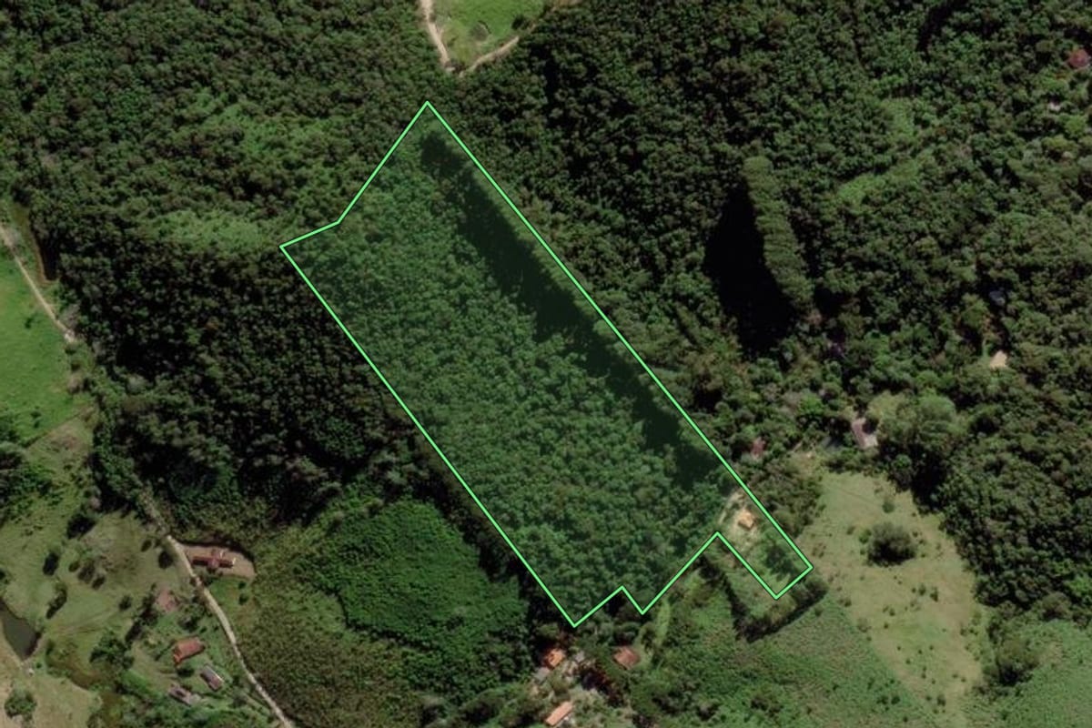 Imagem de satélite do imóvel rural em São Luiz do Paraitinga (SP), com o contorno declarado no CAR desenhado por cima.