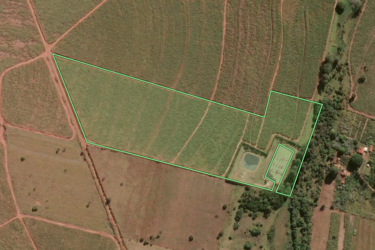 Imagem de satélite do imóvel rural em São Manuel (SP), com o contorno declarado no CAR desenhado por cima.
