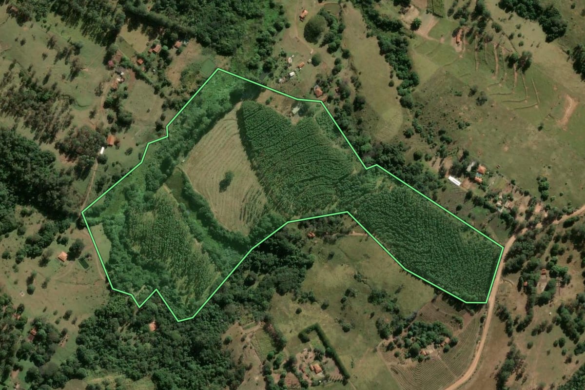 Imagem de satélite do imóvel rural em São Manuel (SP), com o contorno declarado no CAR desenhado por cima.