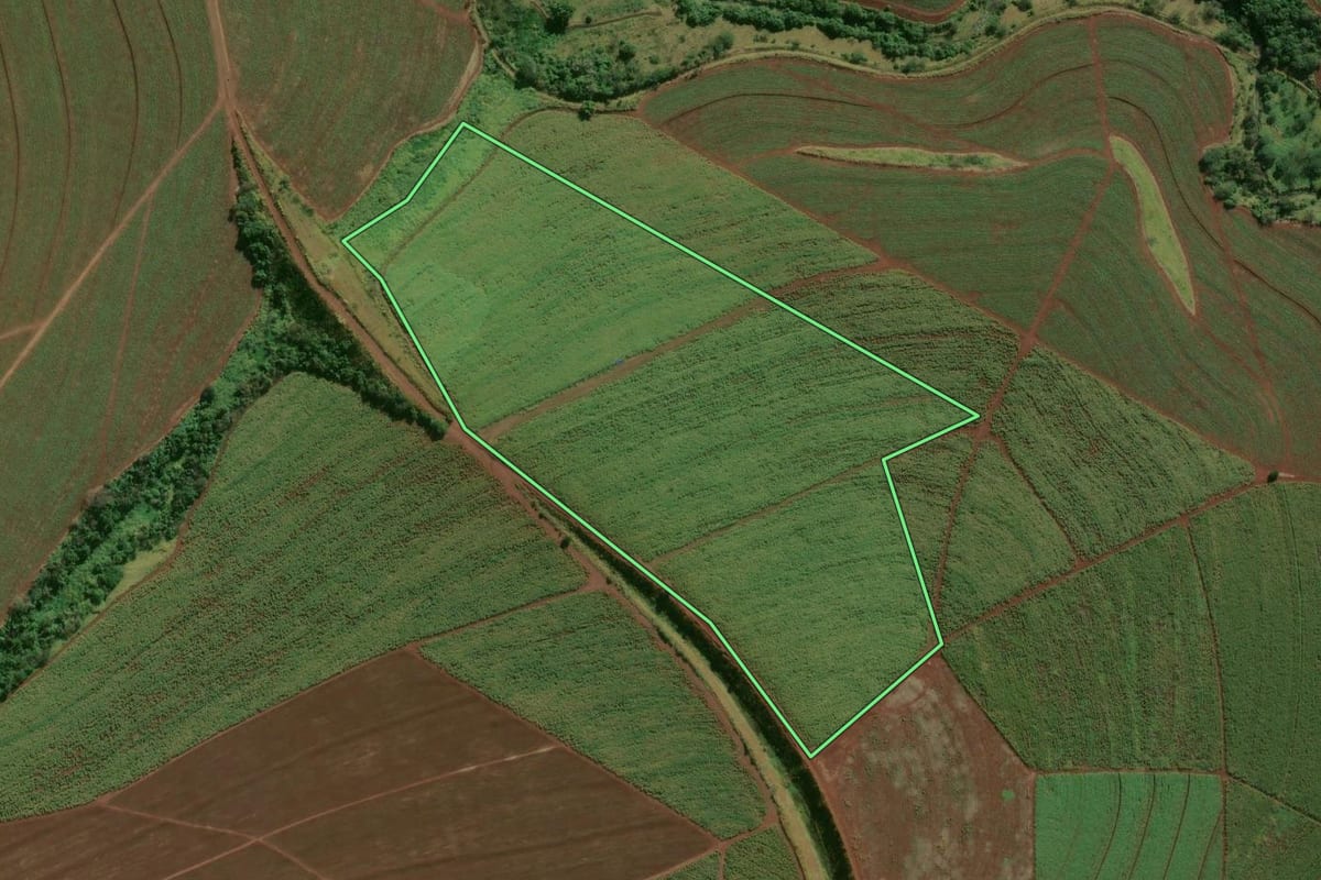 Imagem de satélite do imóvel rural em São Manuel (SP), com o contorno declarado no CAR desenhado por cima.