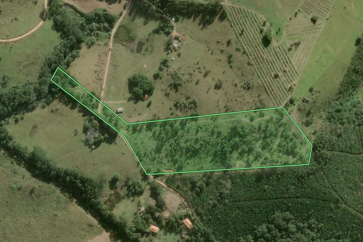 Imagem de satélite do imóvel rural em São Miguel Arcanjo (SP), com o contorno declarado no CAR desenhado por cima.