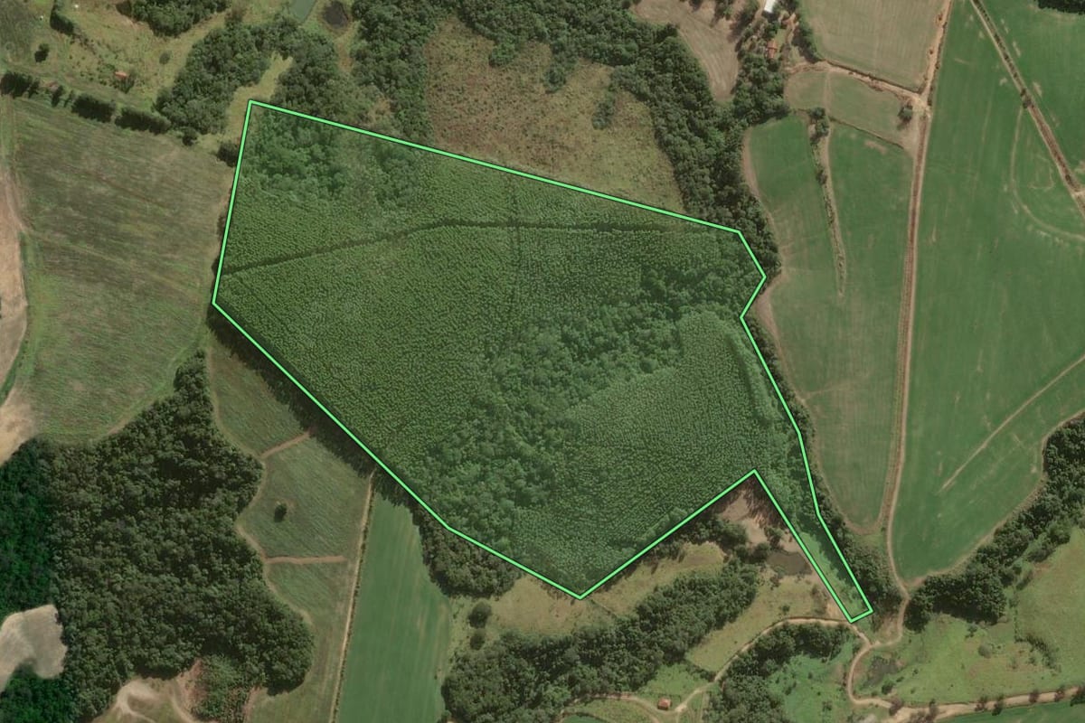 Imagem de satélite do imóvel rural em São Miguel Arcanjo (SP), com o contorno declarado no CAR desenhado por cima.