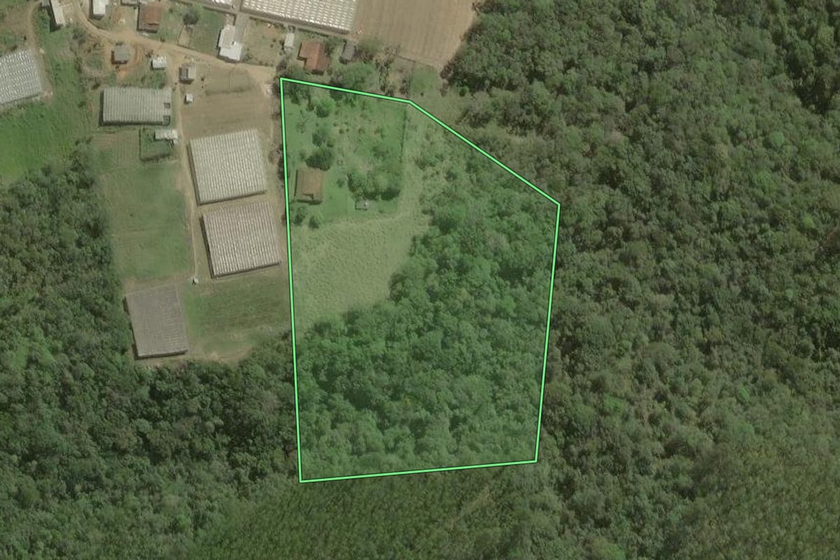 Imagem de satélite do imóvel rural em São Miguel Arcanjo (SP), com o contorno declarado no CAR desenhado por cima.