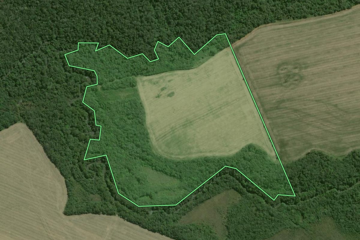 Imagem de satélite do imóvel rural em São Miguel Arcanjo (SP), com o contorno declarado no CAR desenhado por cima.