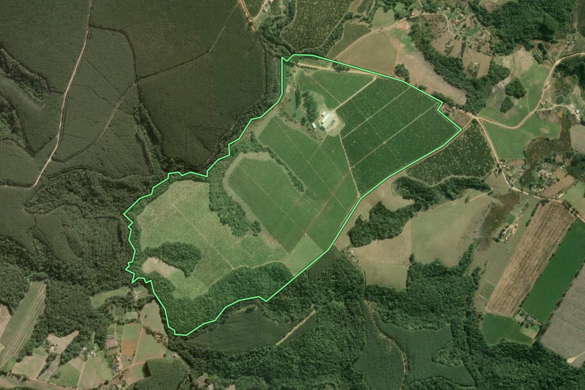 Imagem de satélite do imóvel rural em São Miguel Arcanjo (SP), com o contorno declarado no CAR desenhado por cima.