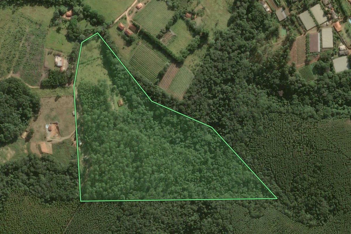Imagem de satélite do imóvel rural em São Miguel Arcanjo (SP), com o contorno declarado no CAR desenhado por cima.