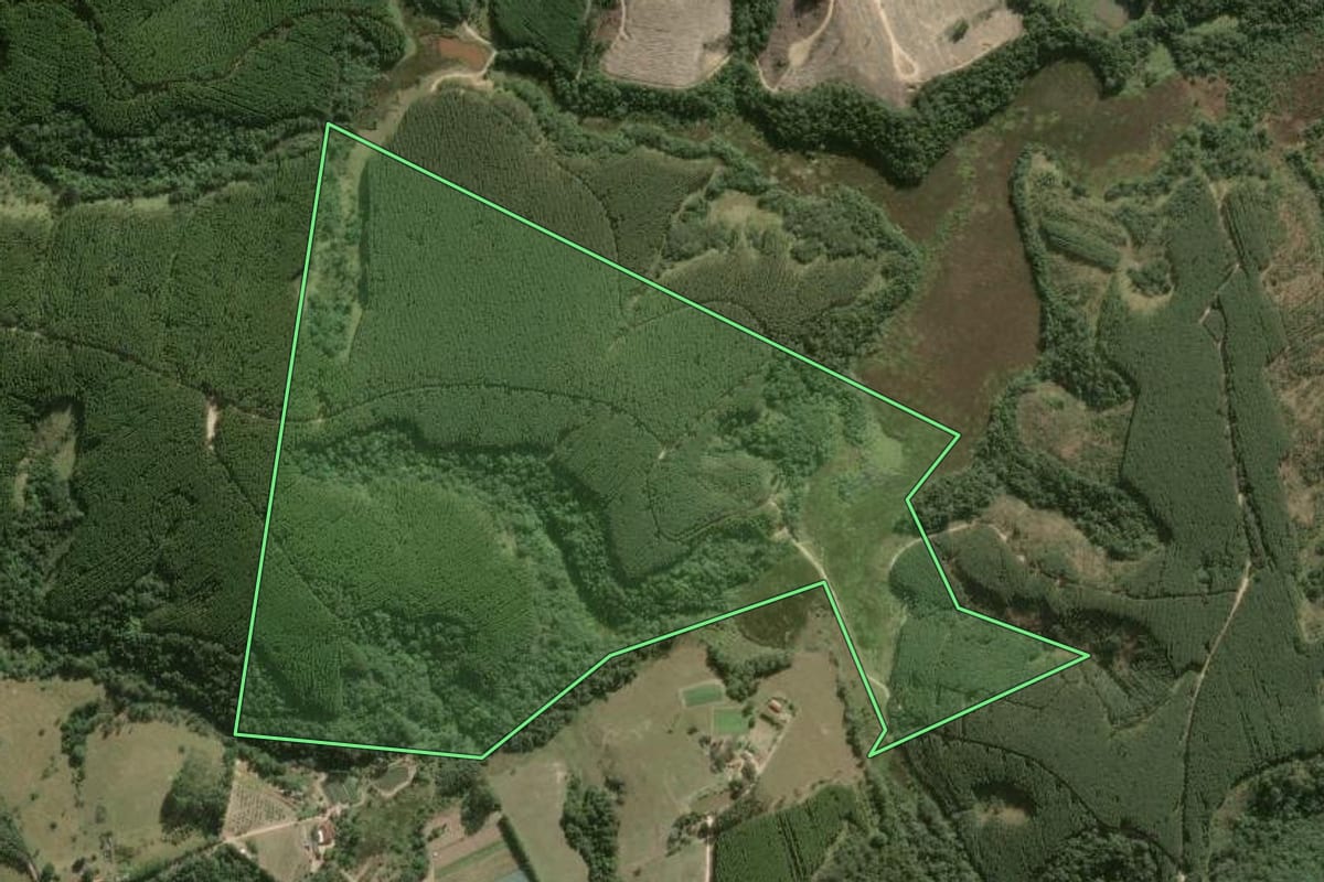 Imagem de satélite do imóvel rural em São Miguel Arcanjo (SP), com o contorno declarado no CAR desenhado por cima.