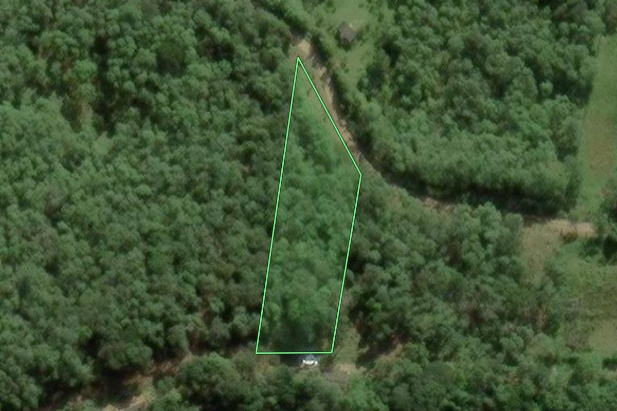 Imagem de satélite do imóvel rural em São Paulo (SP), com o contorno declarado no CAR desenhado por cima.