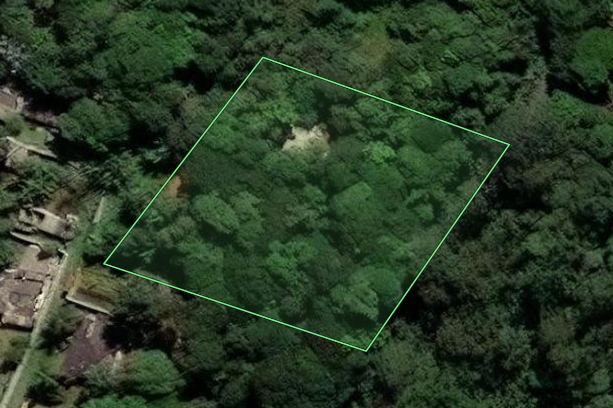 Imagem de satélite do imóvel rural em São Paulo (SP), com o contorno declarado no CAR desenhado por cima.