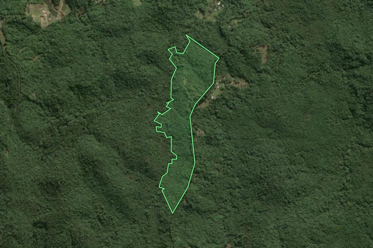 Imagem de satélite do imóvel rural em São Paulo (SP), com o contorno declarado no CAR desenhado por cima.