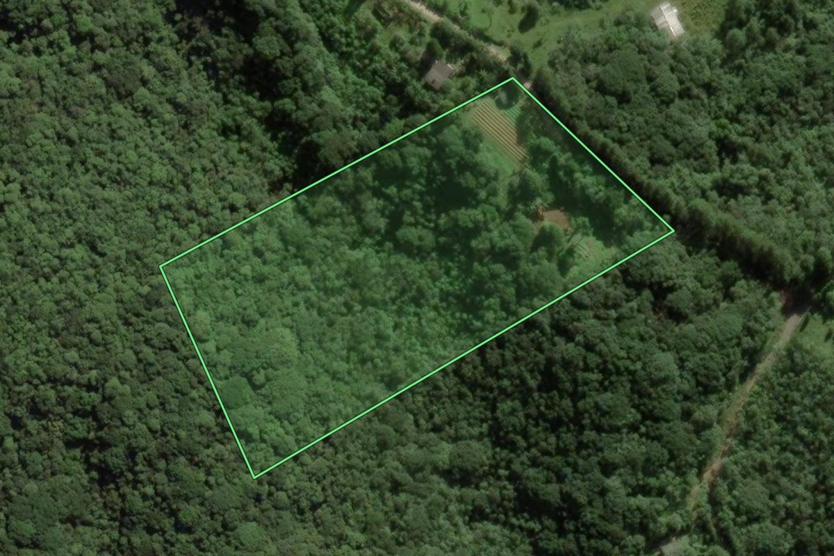 Imagem de satélite do imóvel rural em São Paulo (SP), com o contorno declarado no CAR desenhado por cima.